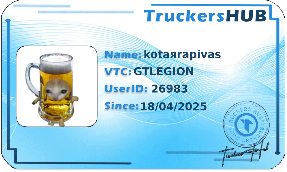 kotaяrapivas License
