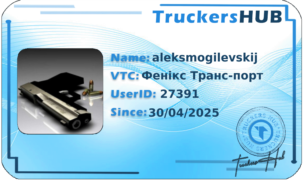 aleksmogilevskij License