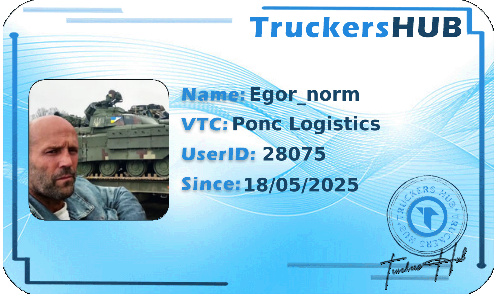 Egor_norm License