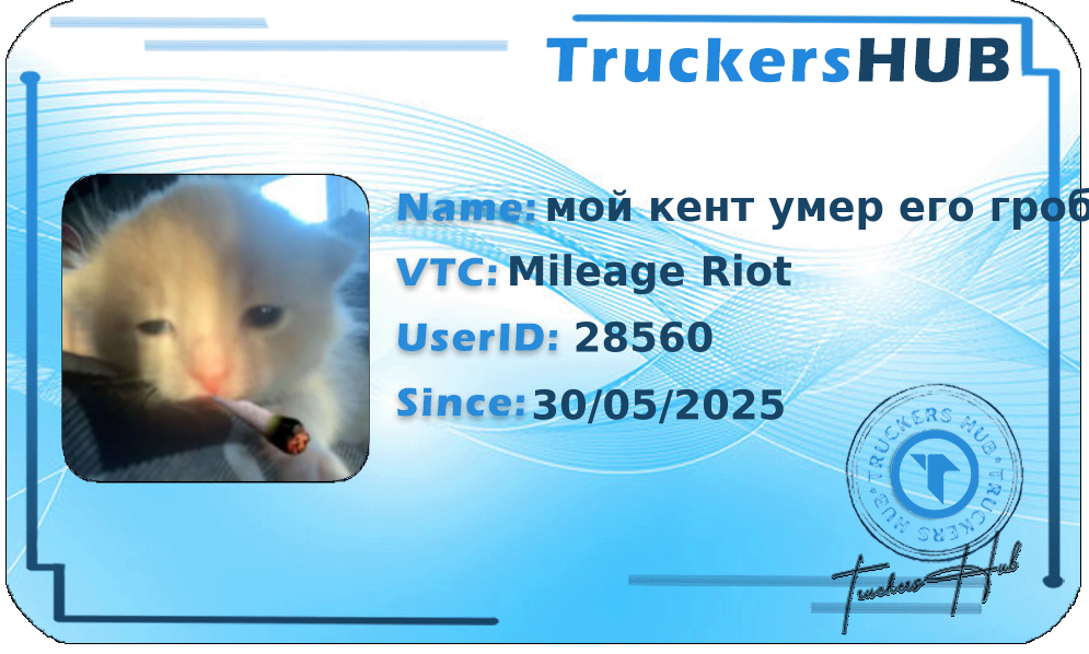 мой кент умер его гроб в стразах License