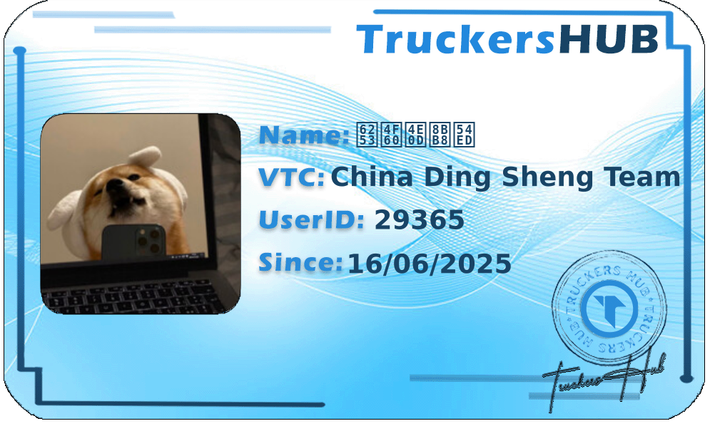 打你不许哭 License