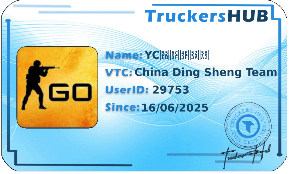 YC闫氏丿刺客 License