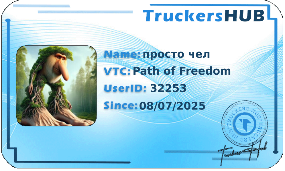 просто чел License