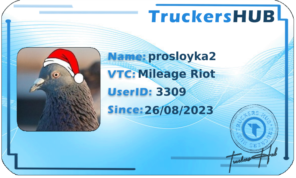 prosloyka2 License