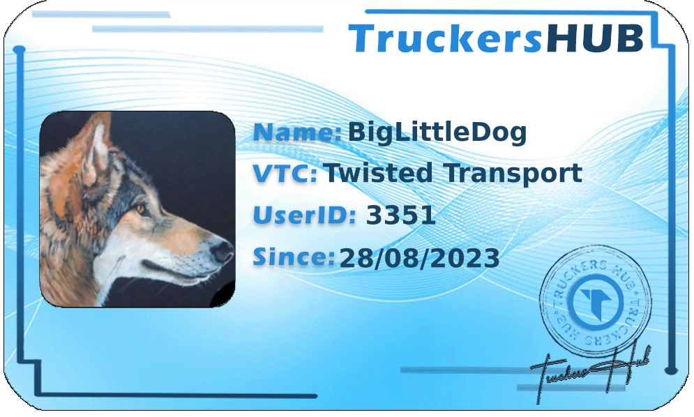 BigLittleDog License