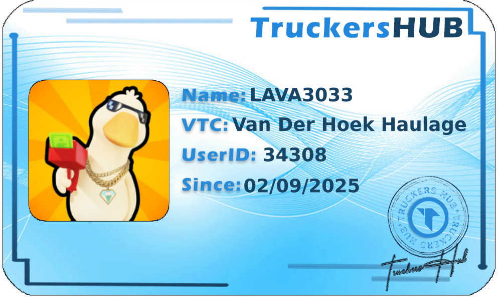LAVA3033 License