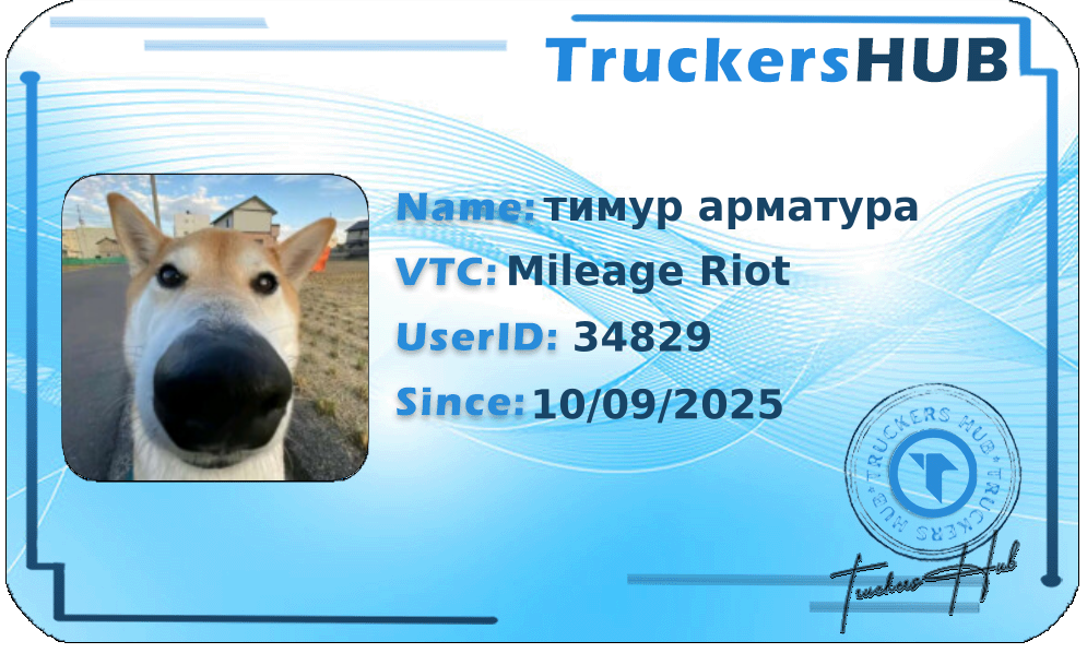 тимур арматура License