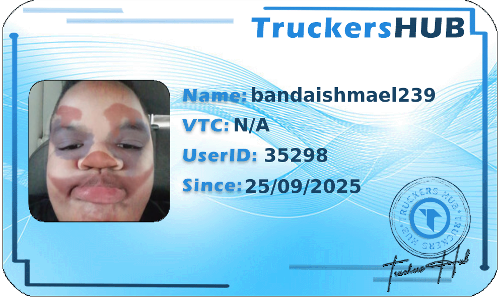 bandaishmael239 License
