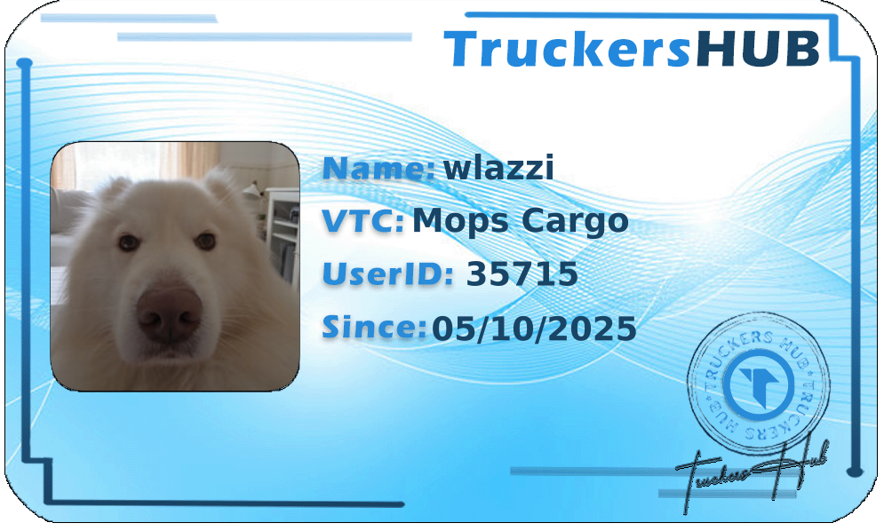 wlazzi License