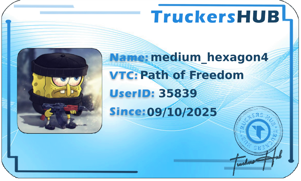 medium_hexagon4 License