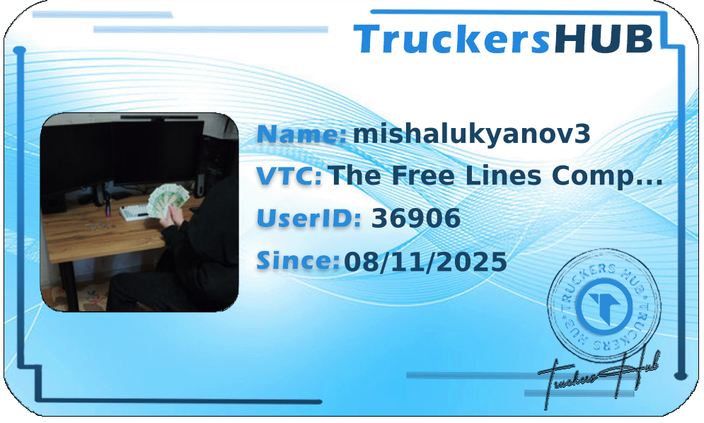 mishalukyanov3 License