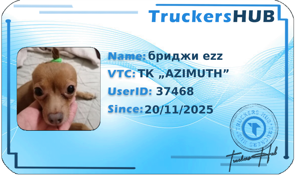 бриджи ezz License