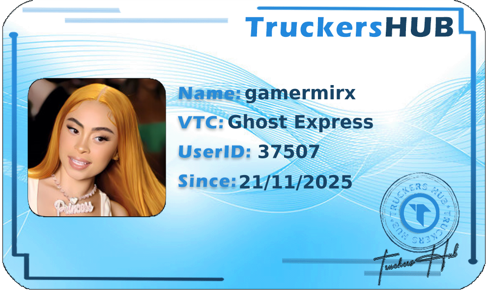gamermirx License