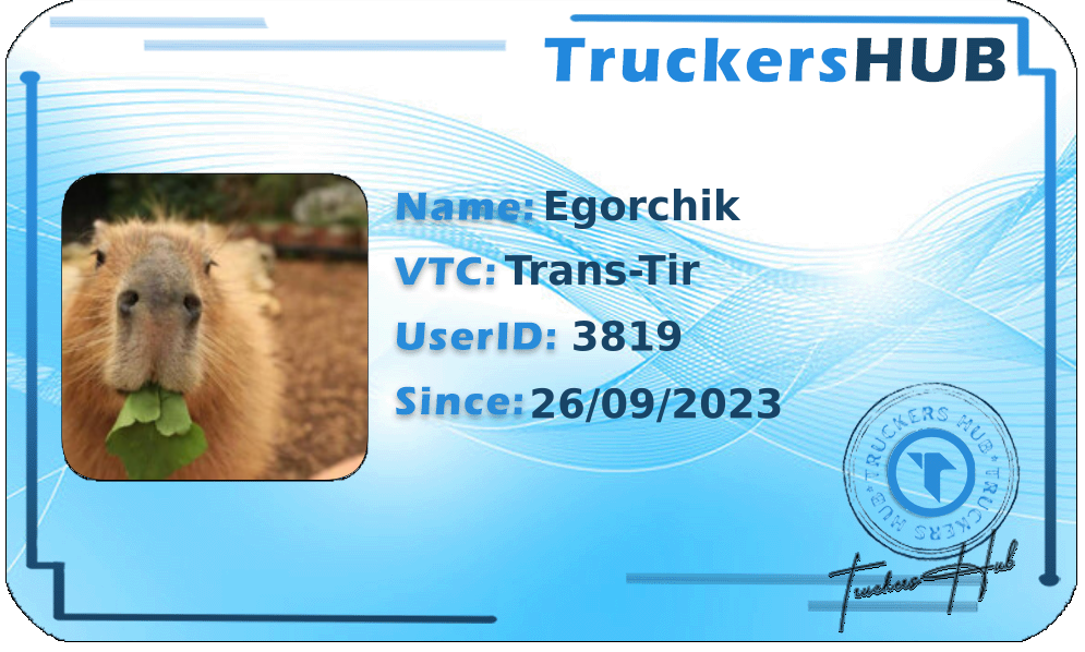 Egorchik License