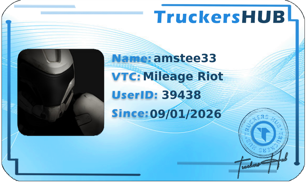 amstee33 License