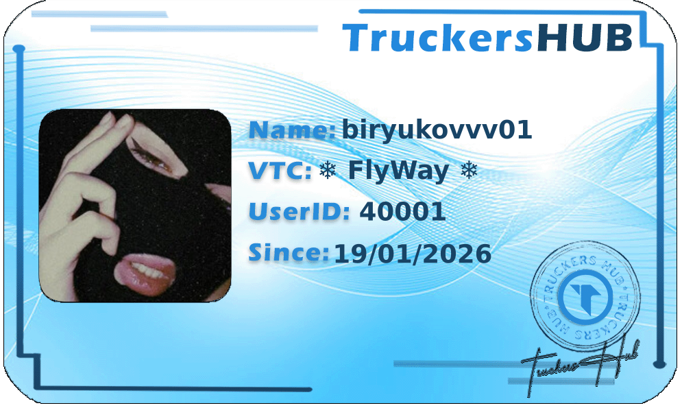 biryukovvv01 License