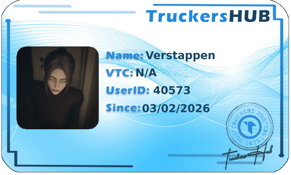 Verstappen License