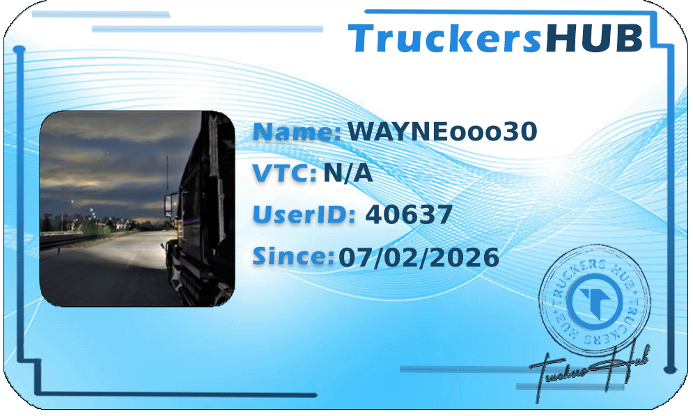 WAYNEooo30 License