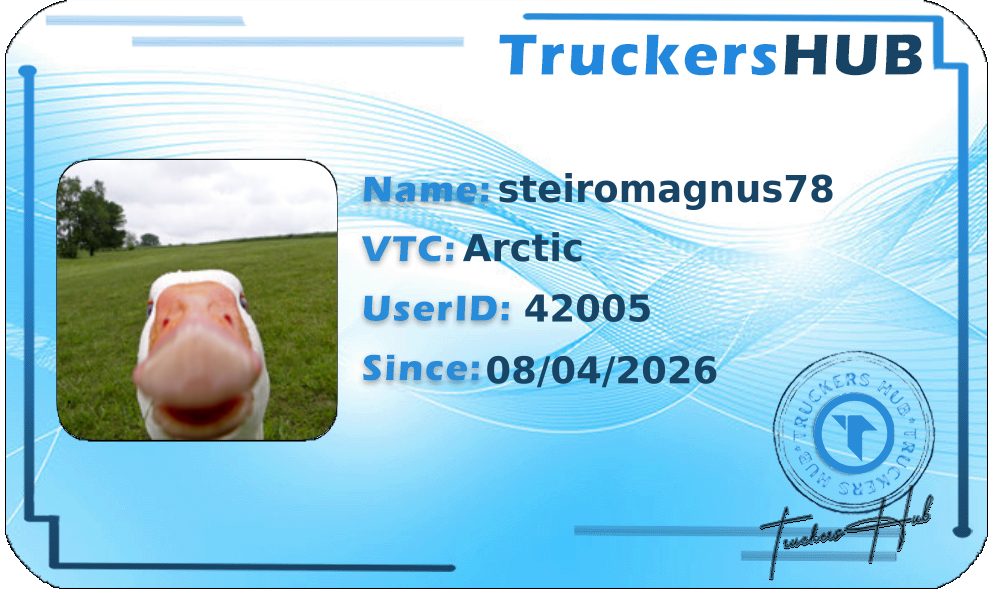 steiromagnus78 License
