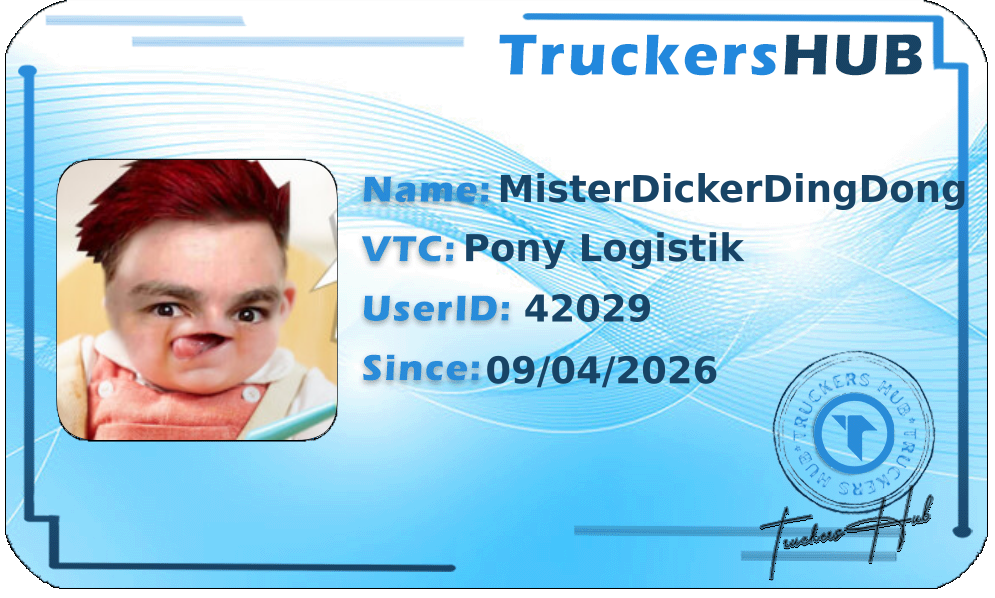 MisterDickerDingDong License