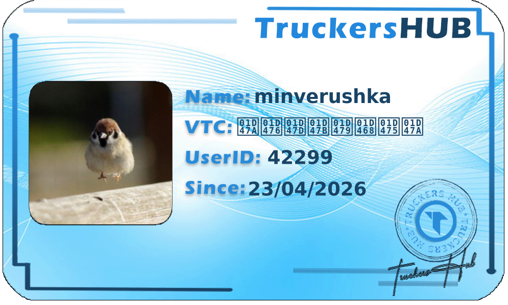 minverushka License