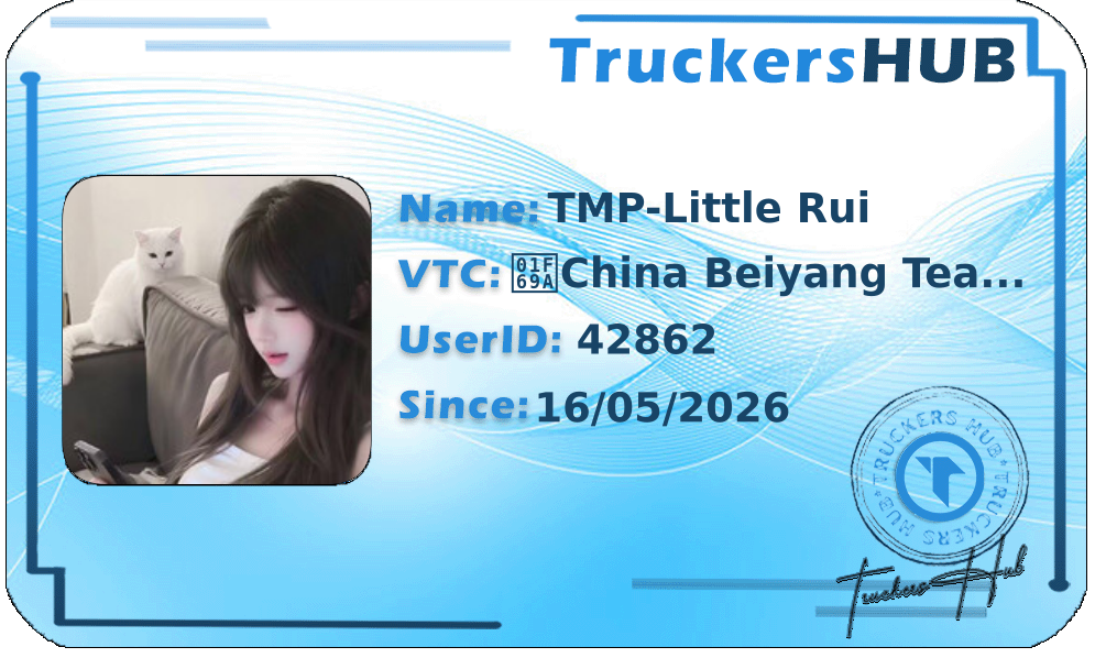 TMP-Little Rui License