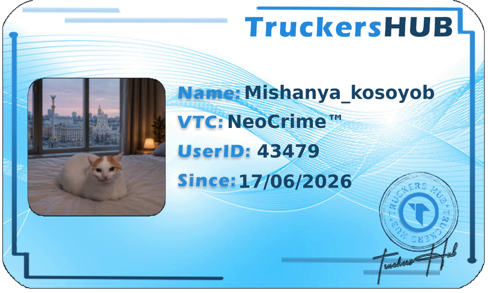Mishanya_kosoyob License