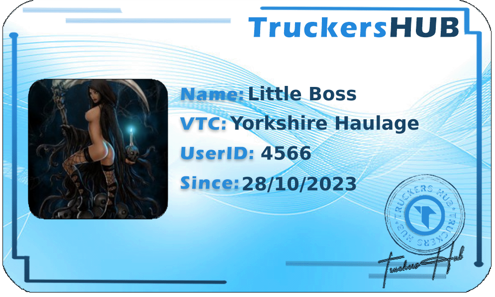 Little Boss License