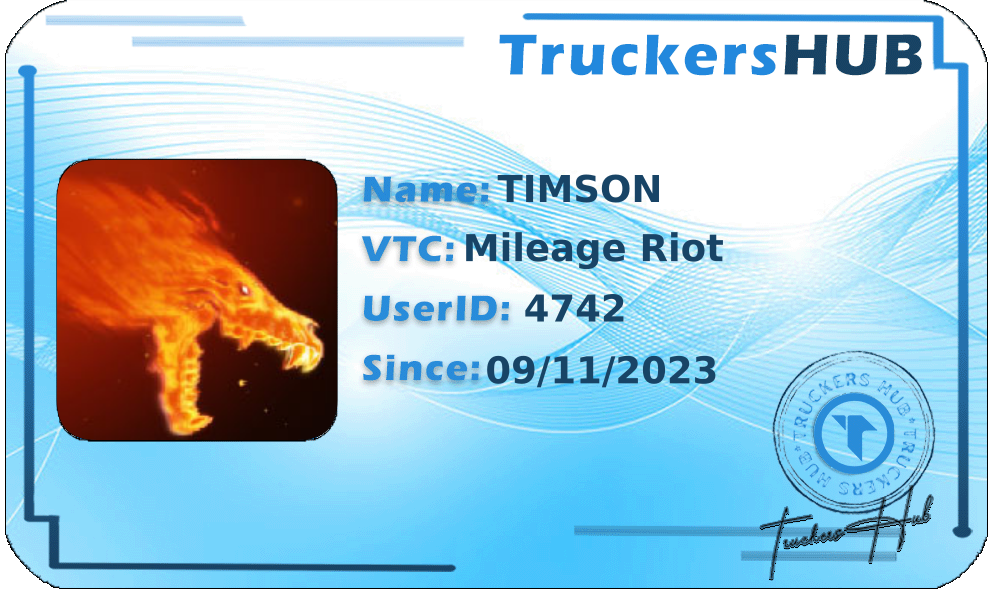 TIMSON License