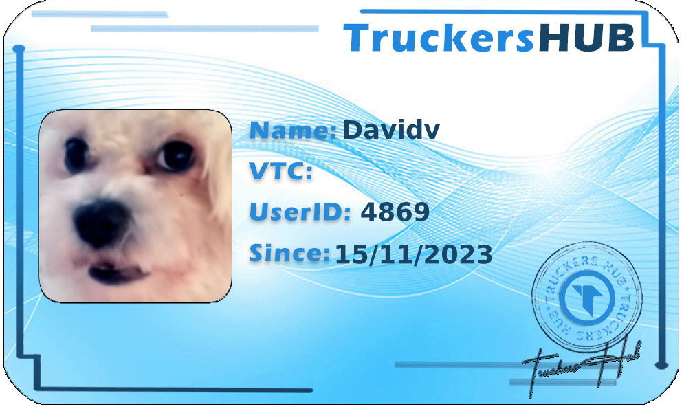 Davidv License