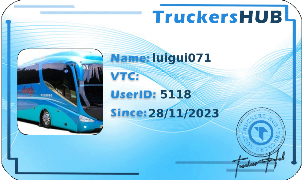 luigui071 License