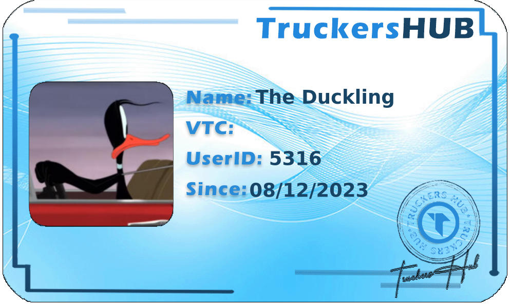The Duckling License