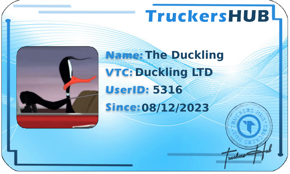The Duckling License
