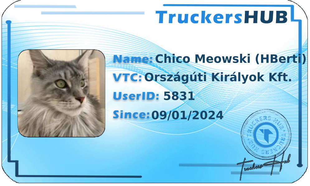 Chico Meowski (HBerti) License