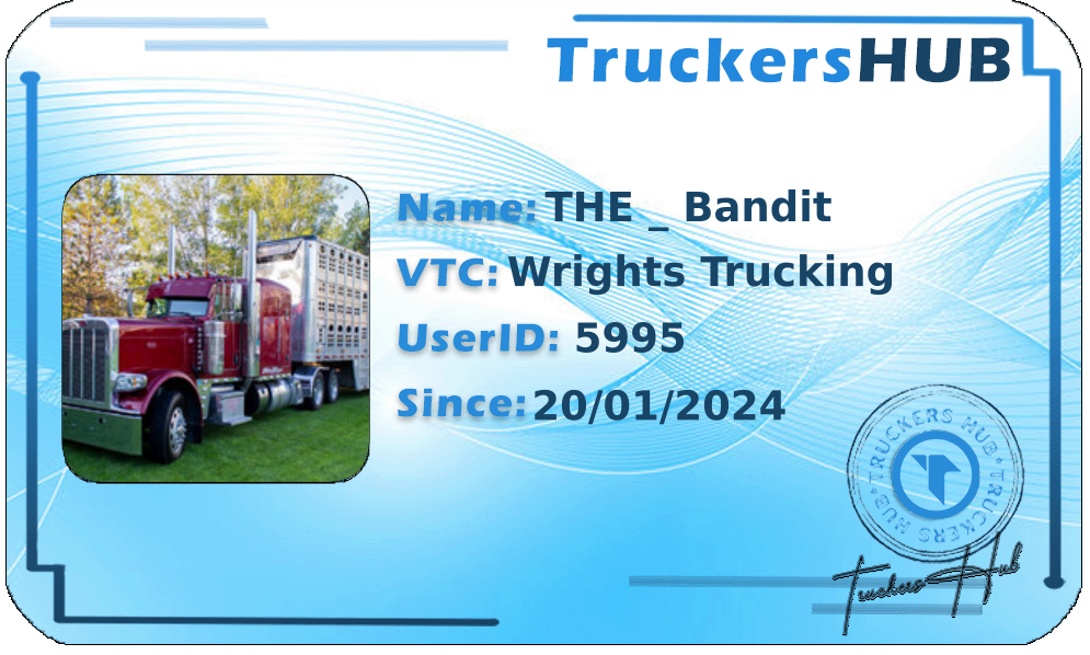 THE _ Bandit  License