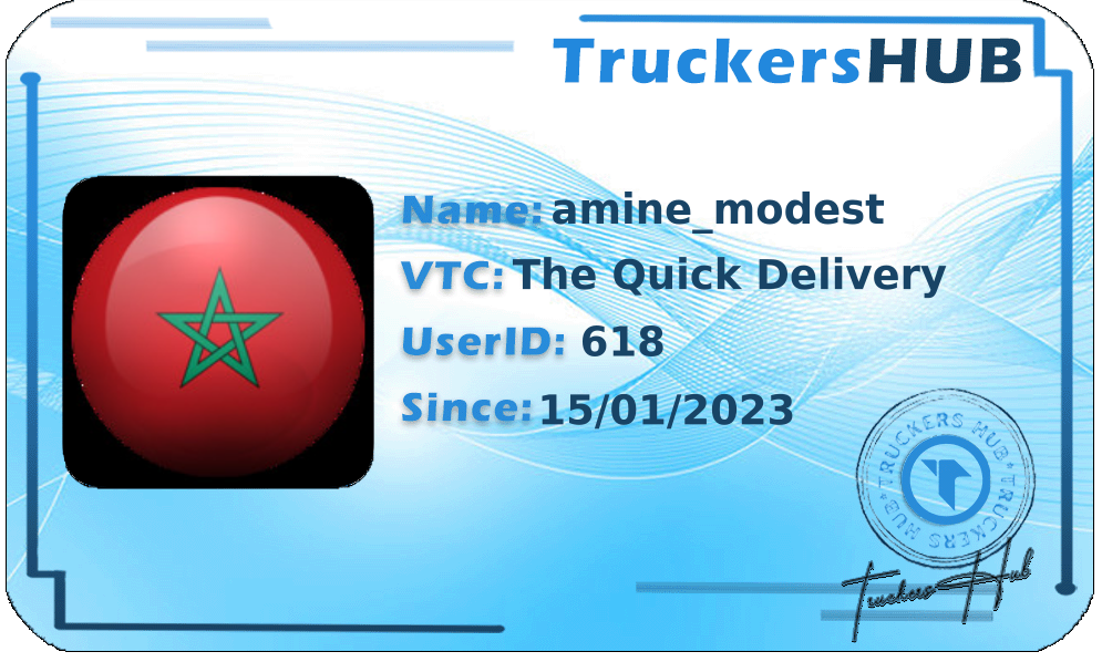 amine_modest License