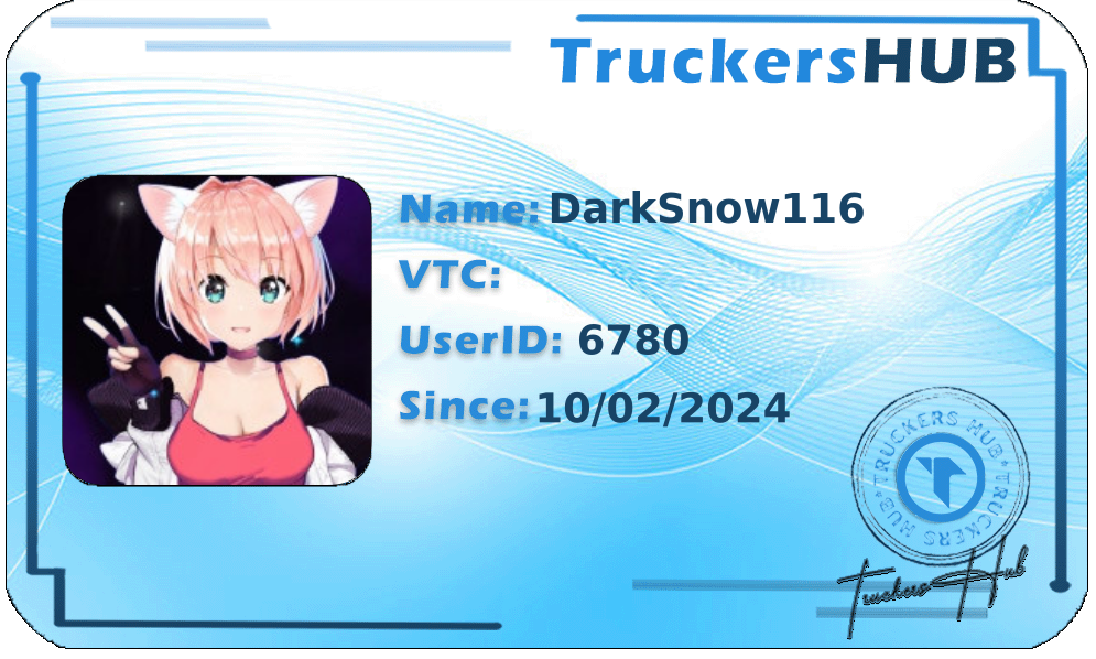 DarkSnow116 License