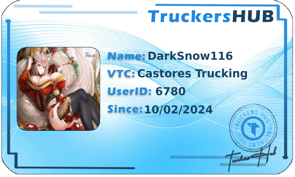 DarkSnow116 License