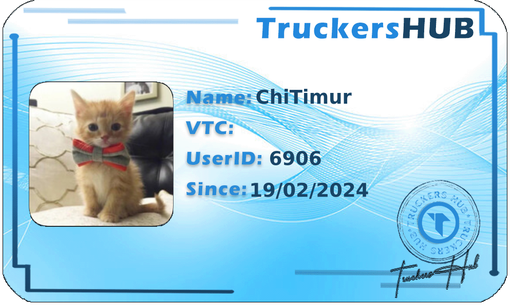 ChiTimur License