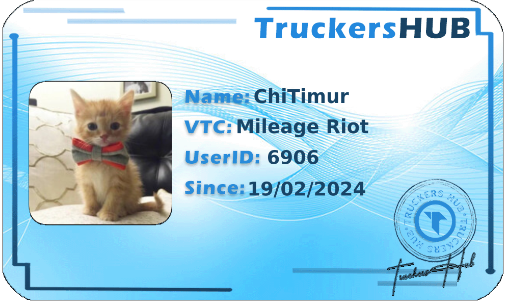 ChiTimur License