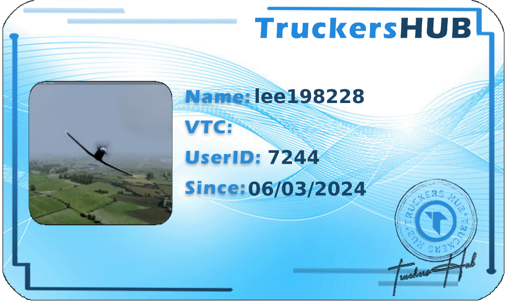 lee198228 License