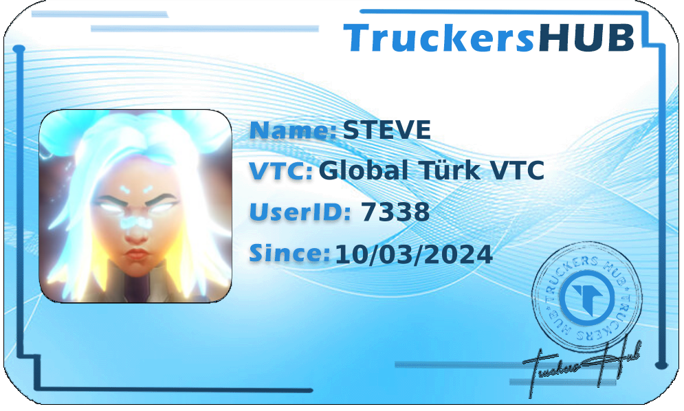 STEVE License