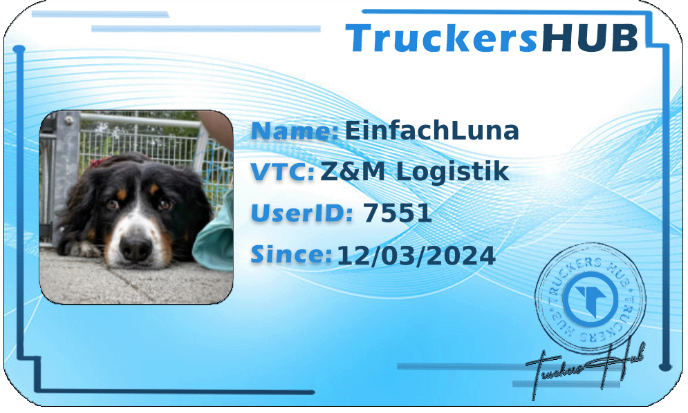 EinfachLuna License