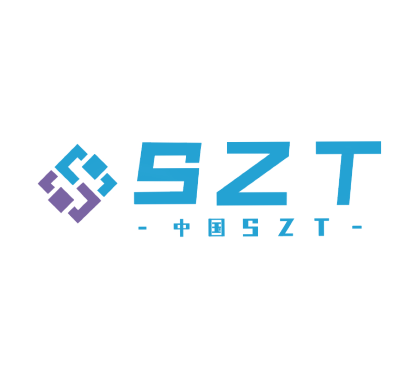 中国SZT车队-China SZT Team
