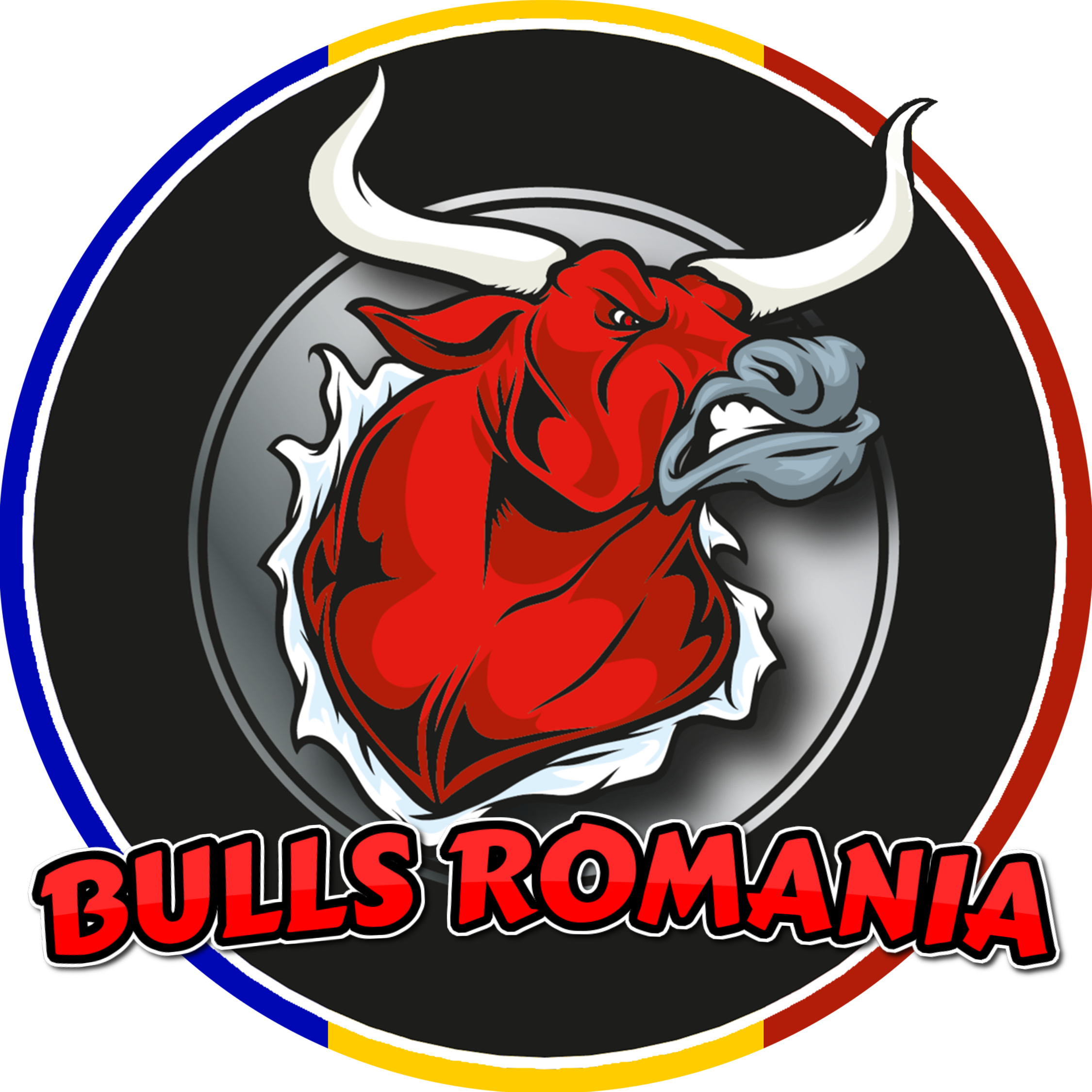 Bulls Romania