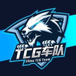 China TCG Team | 中国TCG车队